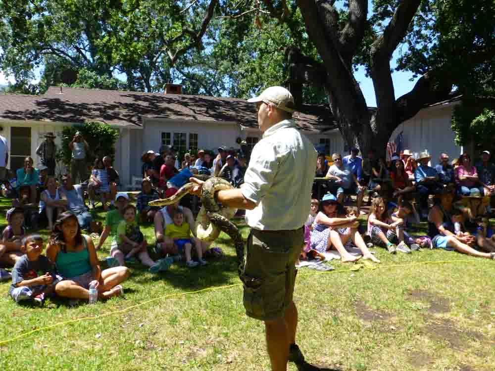Saving Wildlife 1