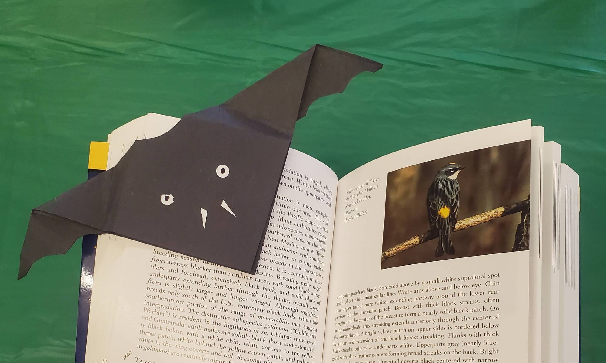 How to Make Origami Bat Bookmarks