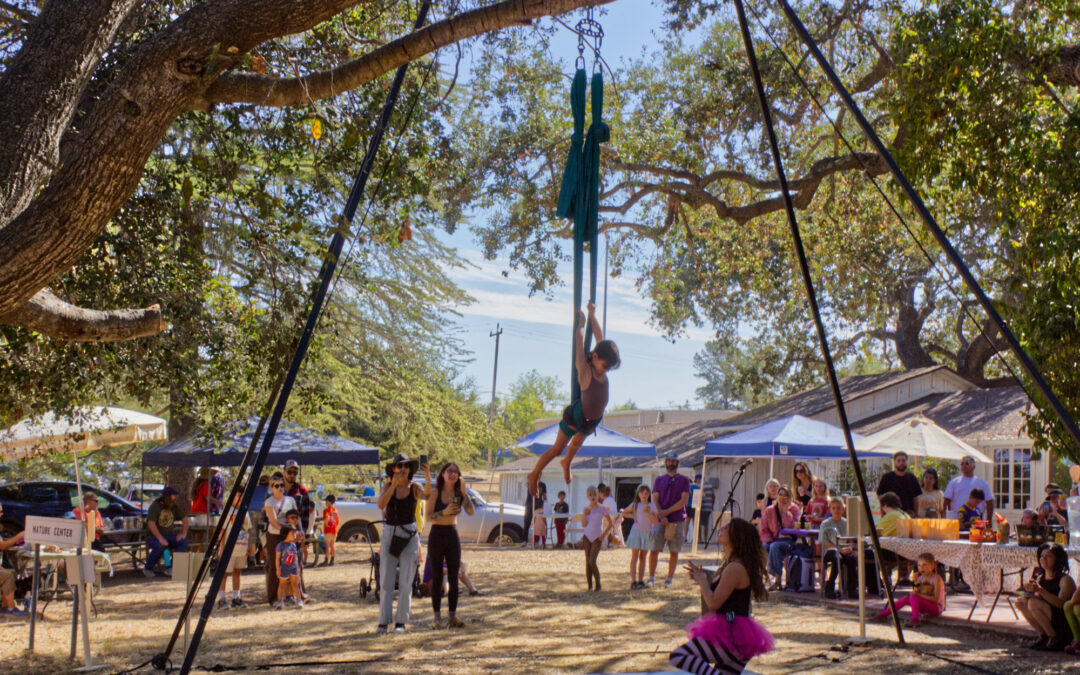 Creepy Creatures 2024 RECAP