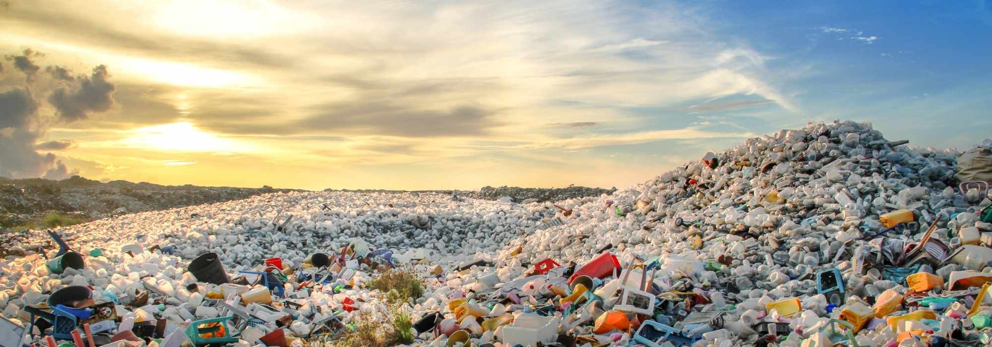 Microplastics, Pollution, and Solutions