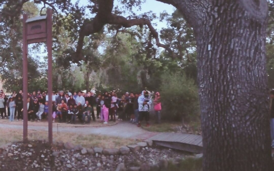 Going Batty in 2025: A Record-Breaking Season Wraps Up