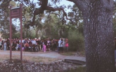 Going Batty in 2025: A Record-Breaking Season Wraps Up