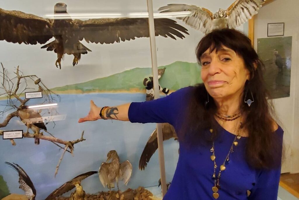 Volunteer Christine (Chris) Faro points to her favorite display in the bird exhibit room at the Neal Taylor Nature Center.