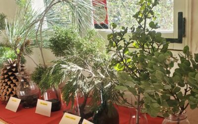 Greg Donovan Talks About Live Plant Display and Getting to Know Native Flora