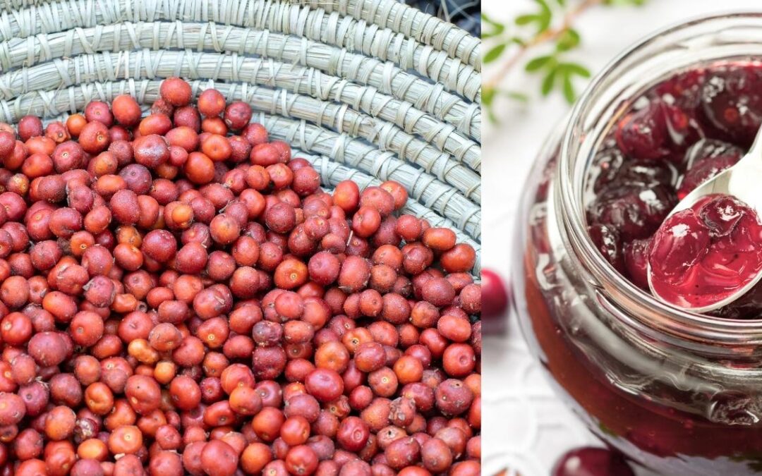 Manzanita Jelly Recipe